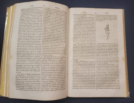 Dictionnaire de cuisine et d'économie ménagère a l'usage des maitres et maitresse de maison , fermiers , maitres-d'hotels , chefs de cuisine , chefs ...