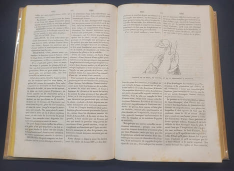 Dictionnaire de cuisine et d'économie ménagère a l'usage des maitres et maitresse de maison , fermiers , maitres-d'hotels , chefs de cuisine , chefs ...