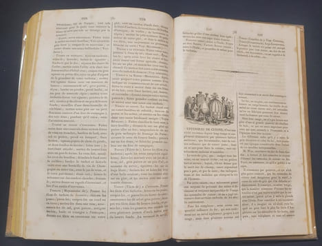 Dictionnaire de cuisine et d'économie ménagère a l'usage des maitres et maitresse de maison , fermiers , maitres-d'hotels , chefs de cuisine , chefs ...