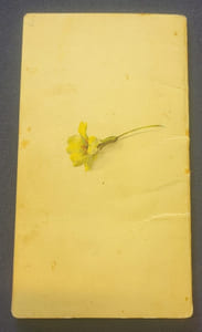Calendrier Victor Hugo 1898