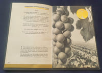 Liste des Grands Vins Nicolas 1929 - Catalogue 1929