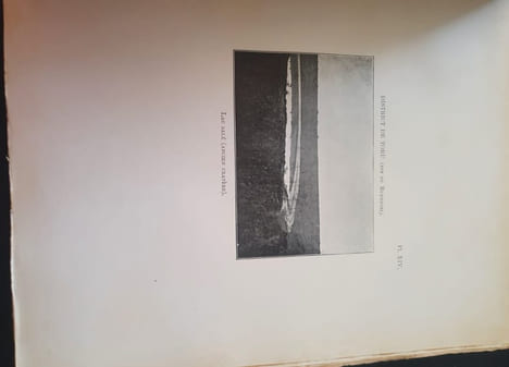 Le Nil et son bassin d'aprés les travaux les plus récents et les plus autorisés - 1 / Texte et illustrations . undefined