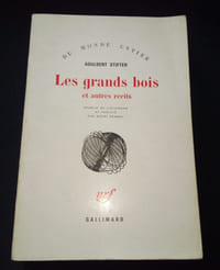 Les grands bois et autres récits 