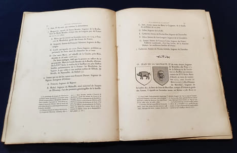 Histoire Généalogique de la Maison de Saussaye. Alonso Pean