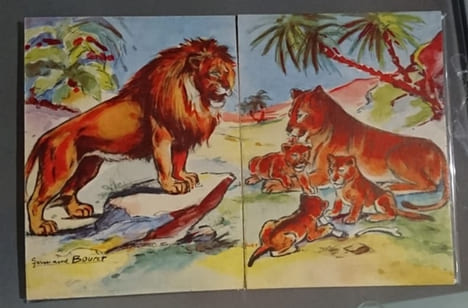 Album n°11 [Imagier des animaux sauvages]. BOURET Germaine
