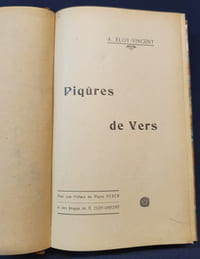 Piqures de vers suivi de 1914/1918 Les épitaphes