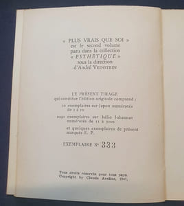 Plus vrais que soi - les rapports du romancier et de ses personnages