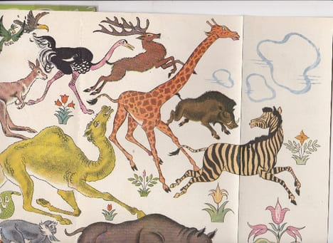 Les Animaux et Le Magicien Une Histoire Merveilleuse Dans Les Jardins Du Grand Khalife. AUGER RAOUL