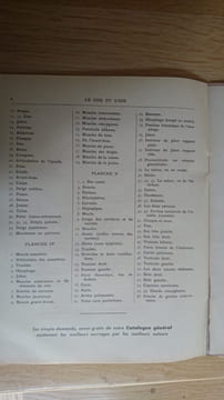 Le Coq et l'Oie. Extérieur Anatomie. 10 Planches coloriées à feuillets découpés et superposés avec explication. . undefined