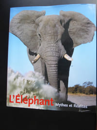 L’Eléphant. Mythes et réalités.