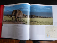 L’Eléphant. Mythes et réalités.