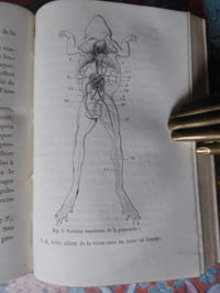 La science expérimentale. 