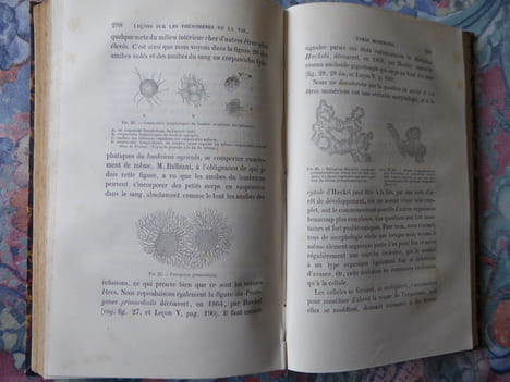 Cours de physiologie générale du Museum d’Histoire naturelle. Leçons sur les phénomènes de la vie communs aux animaux et aux végétaux. BERNARD ...