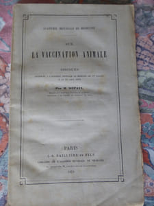 Paris, J.-B. Baillière et fils, 1869.                                                                                   Plaquette in-8, sans faux-titre, 96  pp. [dont le titre]- 4 - 4 pp. [catalogues de l’éditeur… avril 1869, …octobre 1868], brochée, couverture imprimée gris pâle            (rousseurs ;  auréoles d’humidité (premier tiers et fin de volume ; bizarrerie : pas de traces d’humidité sur les plats de couverture… ; catalogues très piqués). 