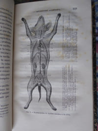 Paris, J.-B. Baillière et fils, Londres, Hipp.  Baillière, New-York, le même, Madrid, C. Bailly-Baillière, 1876.                                                                                       In-8, VIII [faux-titre, du même auteur, titre, blanc, avant-propos] -471-(1) pp., demi-chagrin bleu-vert très foncé, dos à nerfs et faux nerfs encadrés de doubles filets dorés, titre doré (reliure de l’époque ; légère décoloration du cuir par endroits ; rousseurs éparses, discrète mouillure marginale en marge latérale, en fin de volume ). 