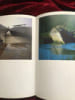 Havres de gr&acirc;ce en Armor / Photographies de Paskell, . Philippe Poupon