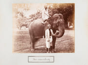 Ensemble de 48 photographies de 28 x 22 cm, tirées sur papier albuminé et collées sur carton, vers 1890   par PHOTOGRAPHIE - CEYLAN] SCOWEN Charles - Image 1