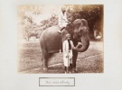 Ensemble de 48 photographies de 28 x 22 cm, tir&eacute;es sur papier albumin&eacute; et coll&eacute;es sur carton, vers 1890  . PHOTOGRAPHIE - CEYLAN] SCOWEN Charles