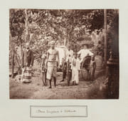 Ensemble de 48 photographies de 28 x 22 cm, tirées sur papier albuminé et collées sur carton, vers 1890   par PHOTOGRAPHIE - CEYLAN] SCOWEN Charles - Image 5
