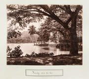 Ensemble de 48 photographies de 28 x 22 cm, tirées sur papier albuminé et collées sur carton, vers 1890   par PHOTOGRAPHIE - CEYLAN] SCOWEN Charles - Image 6