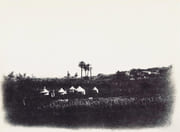 [Campement de voyageurs en Terre Sainte]   par PHOTOGRAPHIE - TERRE SAINTE. VIGNES Louis
