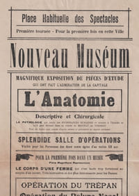 Nouveau Museum. L'anatomie descriptive et chirurgicale  