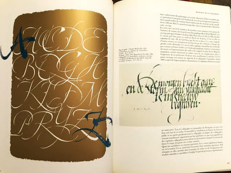 Calligraphie, du signe calligraphié à la peinture abstraite. Claude Mediavilla
