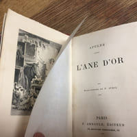 L'âne d'or