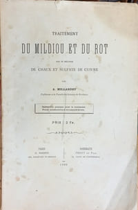 « Traitement du mildiou et du rot par le mélange de chaux et sulfate de cuivre »