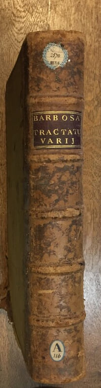 Tractatus varii : 1. De Axiomatibus Iuris usu frequentiioribus ; 2. De appellatina verborum utrinsque iuris significatione ; 3. De locis communibus argumentorum iuris ; 4. De Clausulis usu frequentioribus ; 5. De dictionibus usu frequentioribus.
Traité divers : 1. Sur les axiomes de droit les plus fréquemment utilisés ; 2. Sur la signification des termes dans les deux branches du droit ; 3. Sur les lieux communs des arguments juridiques ; 4. Sur les clauses les plus fréquemment utilisées ; 5. Sur les expressions les plus fréquemment utilisées.