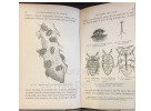 Les maladies de la vigne et les meilleurs c&eacute;pages fran&ccedil;ais et am&eacute;ricains . Jules BEL