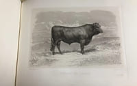 Les Races bovines au concours universel agricole de Paris en 1856. Études zootechniques