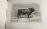 Les Races bovines au concours universel agricole de Paris en 1856. &Eacute;tudes zootechniques. BAUDEMENT Emile