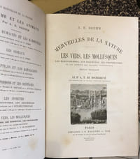 « Merveilles de la Nature » - 5 volumes (incomplet)
