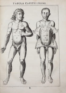 Syntagma anatomicum, commentariis illustratum Gerardo Leonardi Blasio.
