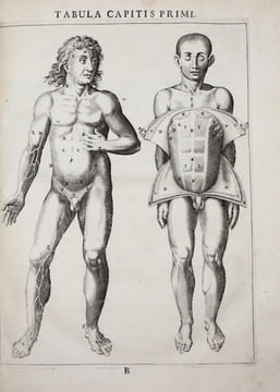 Syntagma anatomicum, commentariis illustratum Gerardo Leonardi Blasio.. VESLING (Johann) / BLAES (Gerard)