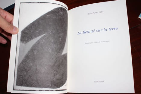 La Beauté sur la terre.. Alain-Pierre Pillet (n°0014) (1947-2009),