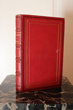 Picciola.. Joseph-Xavier Boniface dit X.-B. Saintine,