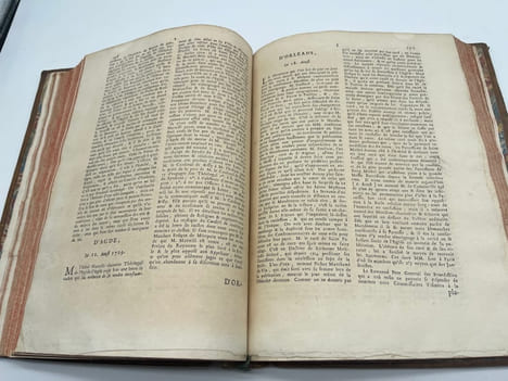 [Jansénisme] Nouvelles ecclésiastiques ou mémoires pour servir à l'histoire de la Constitution Unigenitus pour l'année M.DCC.XXIX. . [Jansénisme] ...