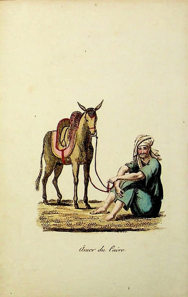 [Gravure tir&eacute;e de] Breton de la Martini&egrave;re, &Acirc;nier du Caire [gravure tir&eacute;e de L'&Eacute;gypte et la Syrie, ou moeurs, usages, costumes et monumens des ...