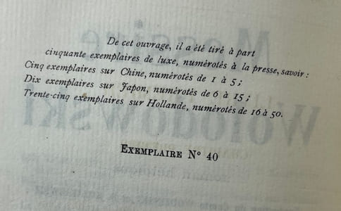 Messire Wolodowski - roman héroïque.