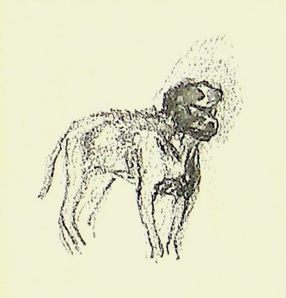 Dessin original au crayon. Maurice Bonvoisin dit Mars (1849-1912), dessinateur belge, illustrateur, graveur