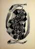 Gravure. Tranquillo Marangoni (1912-1992), graveur italien. 