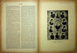 La Plume, Litt&eacute;raire, Artistique et Sociale - n&deg;120 du 15 avril 1894.. [Revue La Plume, Collectif dont] Harold Swan, Edmond Pilon, Paul Masson, Louis ...