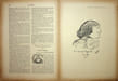  La Plume - n&deg;130 du 15 septembre 1894.. [Revue La Plume, Collectif dont] Paul Verlaine, Charles Tenib, Willy, etc.,