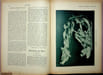 La Plume - n&deg;157 du 1er novembre 1895 - num&eacute;ro sp&eacute;cial consacr&eacute; &agrave; l'Ecole Lorraine d'Art d&eacute;coratif.. [Art Nouveau, Ecole de Nancy, Revue La Plume, ...