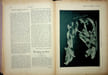La Plume - n&deg;157 du 1er novembre 1895 - num&eacute;ro sp&eacute;cial consacr&eacute; &agrave; l'Ecole Lorraine d'Art d&eacute;coratif.. [Art Nouveau, Ecole de Nancy, Revue La Plume, ...