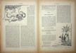 La Plume - n&deg;196 du 15 juin 1896.. [Revue La Plume, Collectif dont] Adolphe Rett&eacute;, Jules Chopin, Albert Lantoine, Paul Rey, Pierre Louys, etc., 