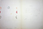 Lettre autographe sign&eacute;e. Ausone de Chancel (1808-1878), &eacute;crivain, administrateur colonial, partisan d'id&eacute;es racistes. 