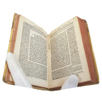"DIVI PAULI APOSTOLI EPISTOLAE, BREVISSIMIS & FACILISSIMIS SCHOLIIS PER IOANNE(M) GAGNEIU(M) PARISINUM THEOLOGUM CHRISTIANISSIMI FRANCORU(M) REGIS ECCLESIASTEN & DOCTOREM ILLUSTRATAE".